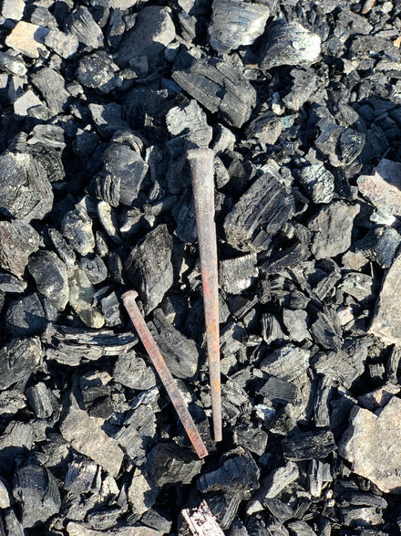 Load image into Gallery viewer, Original Square Nail from American Hotel (1871)