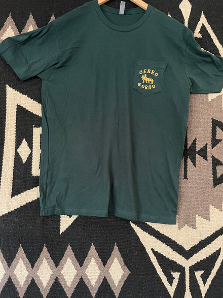 Load image into Gallery viewer, Cerro Gordo Pocket Tee (Green)
